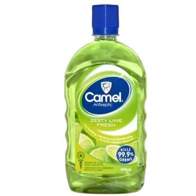 CAMEL 500ML ALL TYPES