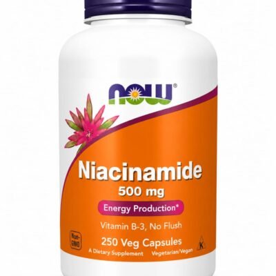 NOW NIACINAMIDE 500MG 100S